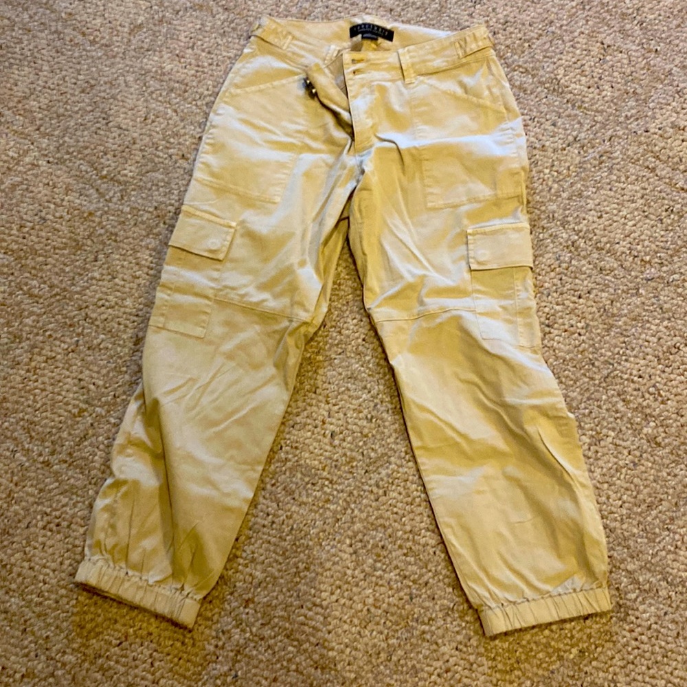 Sanctuary size 27 cargo never worn